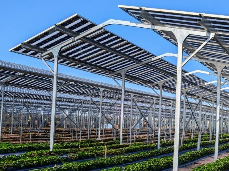 Agrivoltaic Solar Systems