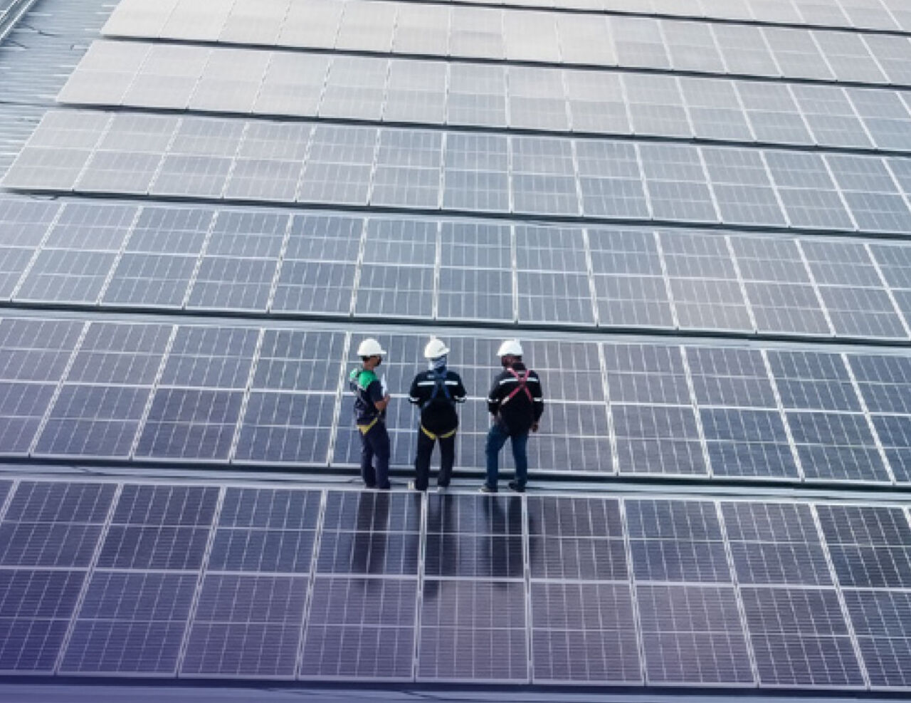 Go Solar with $0 Upfront Financing for Your Business