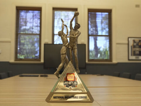 Case Study: Hoops Capital