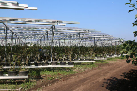 Cropping & Mixed Farms