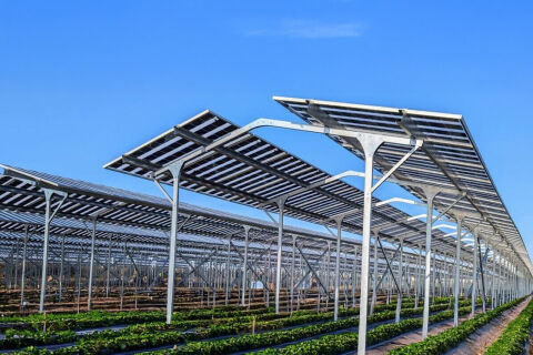 AgriSolar (Agricultural Solar Systems)