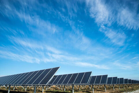 Solar Farms / Ground-Mount Solar