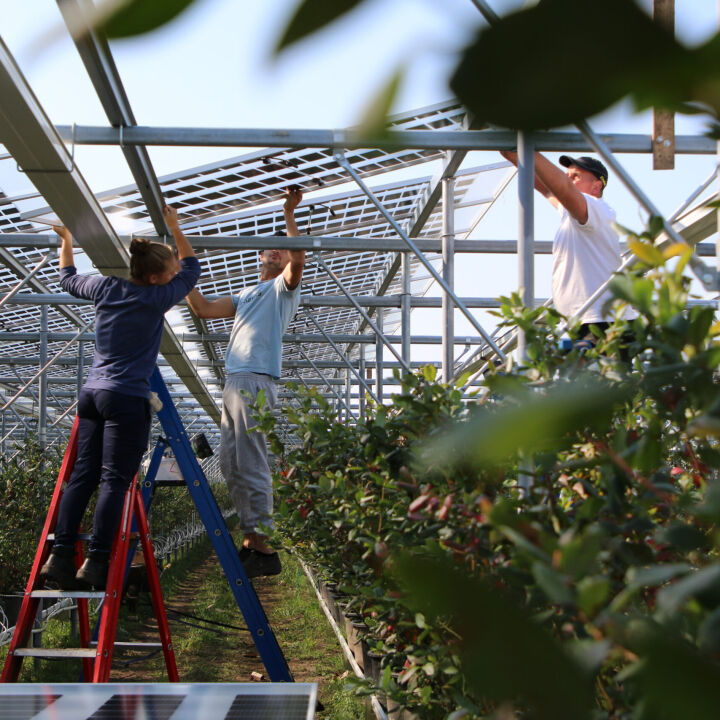 Solar for Agriculture That Pays for Itself
