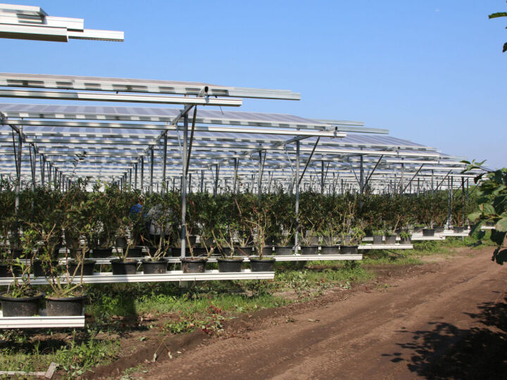 Agricultural Solar Systems