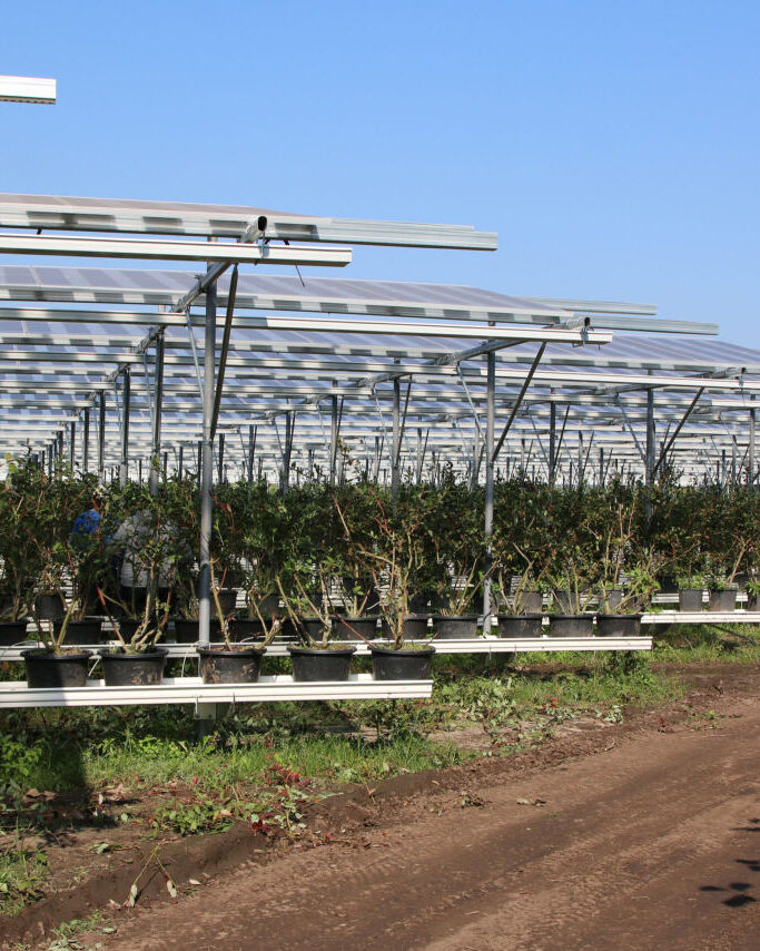 Solar for Agriculture & Rural Businesses