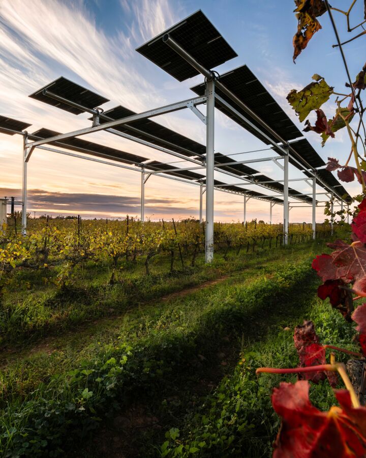 Solving Real Farm Power Problems with Agrivoltaic Solar