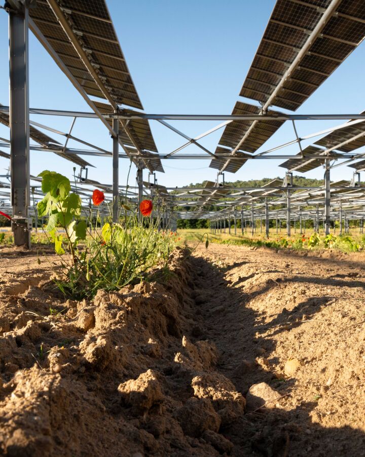 Why Farms Choose Sharp EIT