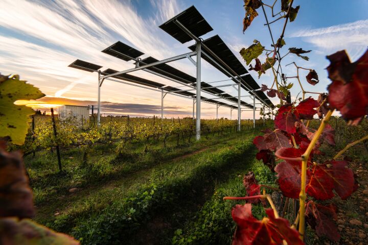 Agri-Solar & Agricultural Solar Systems